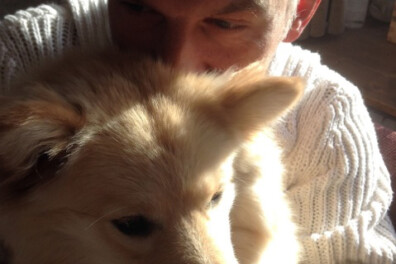 Honden houden echt van mensen