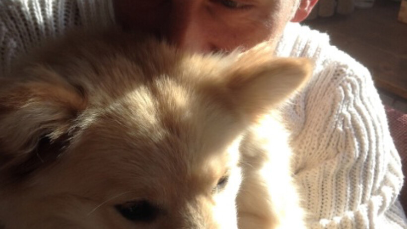 Honden houden echt van mensen