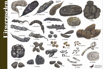 Handig in de natuur: een poepkaart!