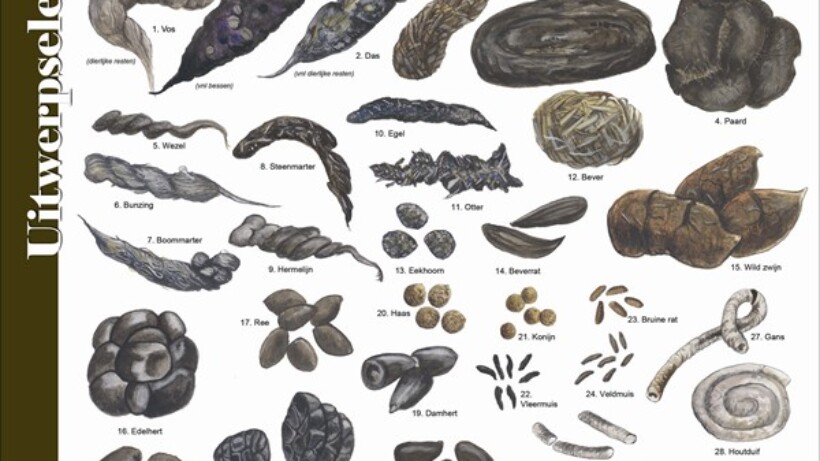 Handig in de natuur: een poepkaart!