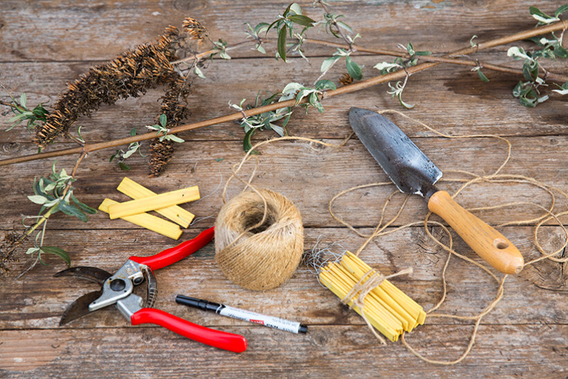 Zelf aan de slag: Stek planten