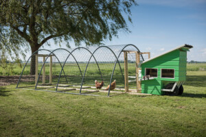 Verrijdbaar kippenhok met ren