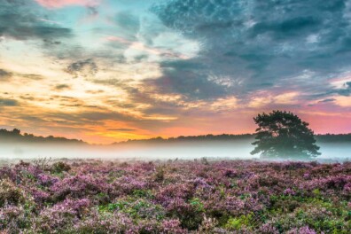 Natuurverschijnsel: hoe ontstaat mist?