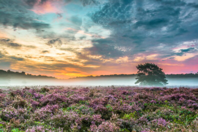 Natuurverschijnsel: hoe ontstaat mist?