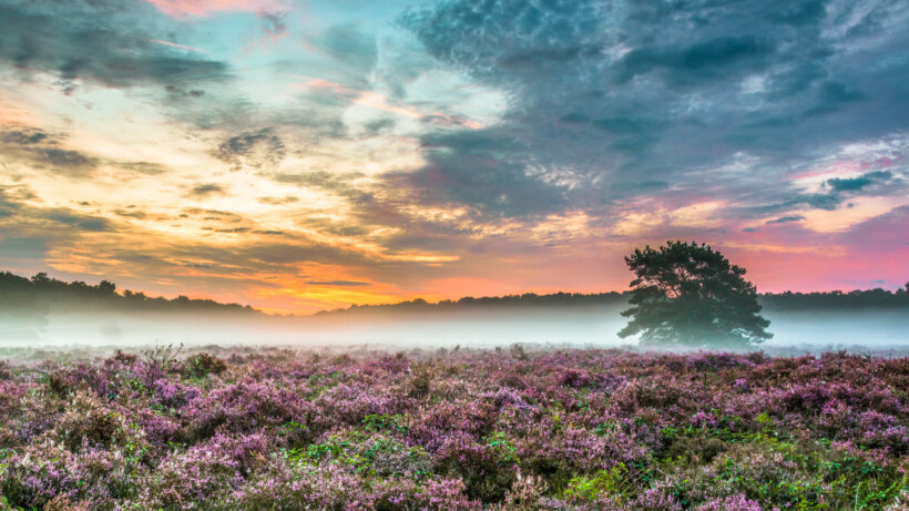 Natuurverschijnsel: hoe ontstaat mist?