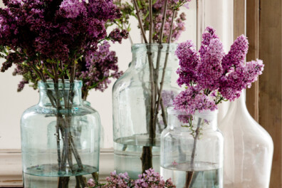 8 tips voor seringen in de vaas