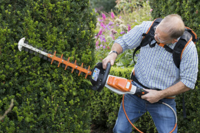 Hoe snoei je taxus? 5 tips