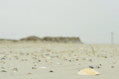 9 onbewoonde eilanden in de Waddenzee