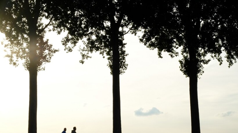 7 minivakanties: per fiets langs natuurkampeerterreinen in Nederland