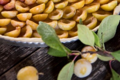 Traditionele mirabellentaart uit de Lorraine