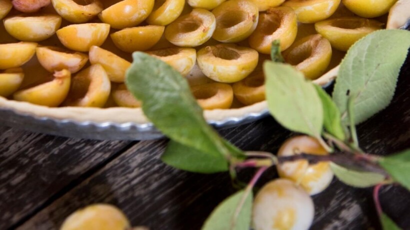 Traditionele mirabellentaart uit de Lorraine