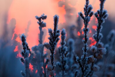 Waar blijft het ochtendlicht toch?