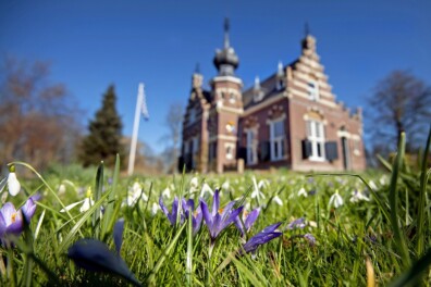 Even opzoeken of je favoriete stinsenplanten al bloeien