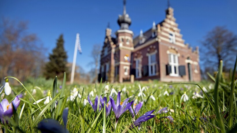 Even opzoeken of je favoriete stinsenplanten al bloeien