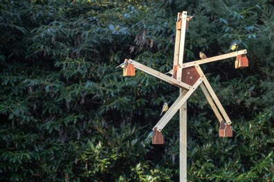 Maak een vogelvoermolen