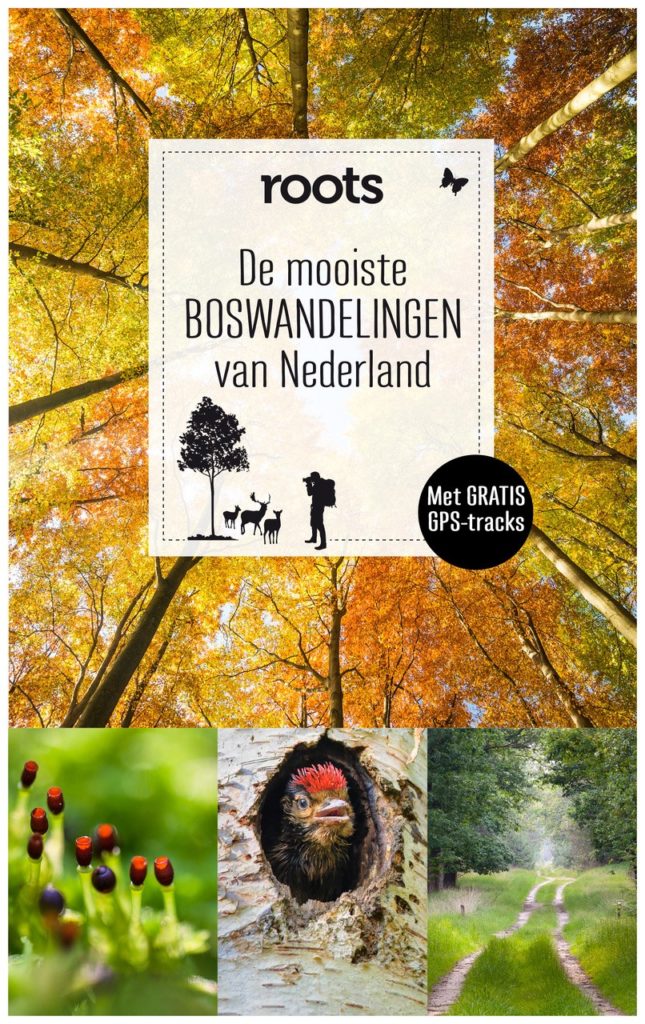 Cover boek boswandelingen