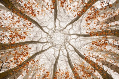 Zo fotografeer je een kaleidoscoop-effect