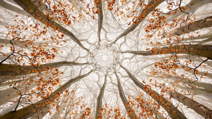 Zo fotografeer je een kaleidoscoop-effect