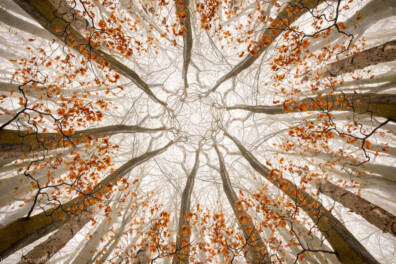 Zo fotografeer je een kaleidoscoop-effect