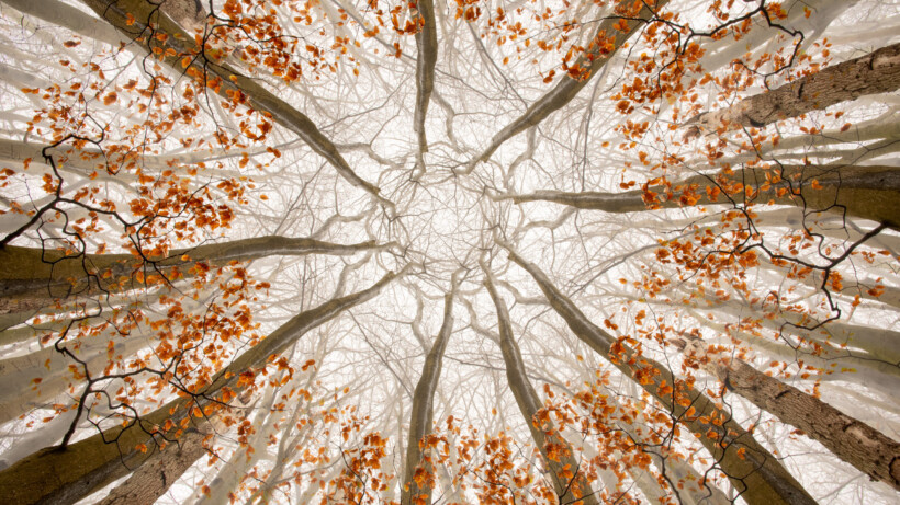 Zo fotografeer je een kaleidoscoop-effect