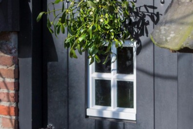 Zelf maretak kweken, zo doe je dat