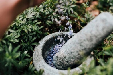 Zelfmaakideeën uit de natuur (2) – lavendelolie