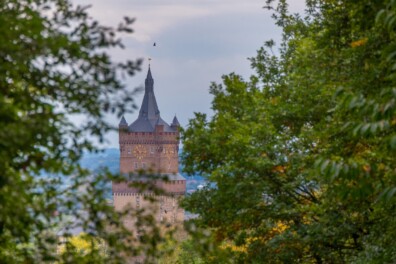 Reichswald: vorstelijk wandelbos net over de grens