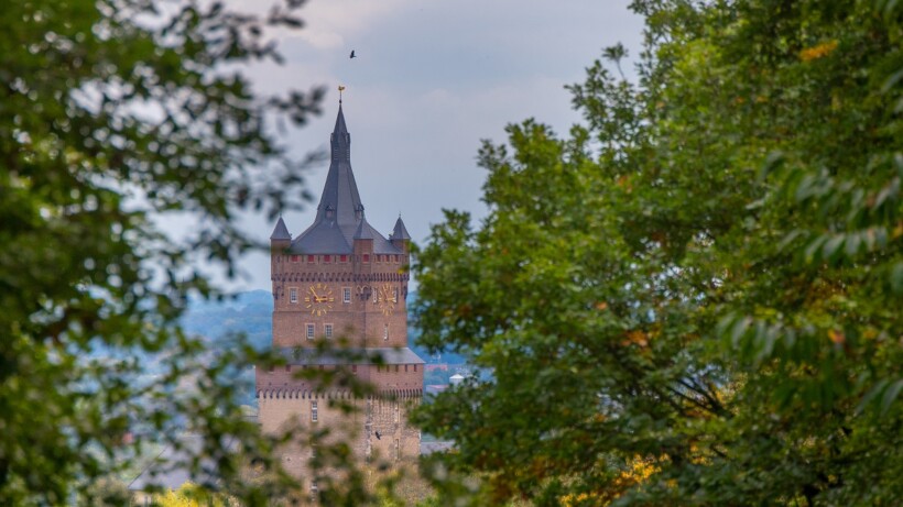 Reichswald: vorstelijk wandelbos net over de grens