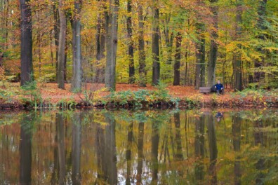 Hoe ontstaan de vier seizoenen?
