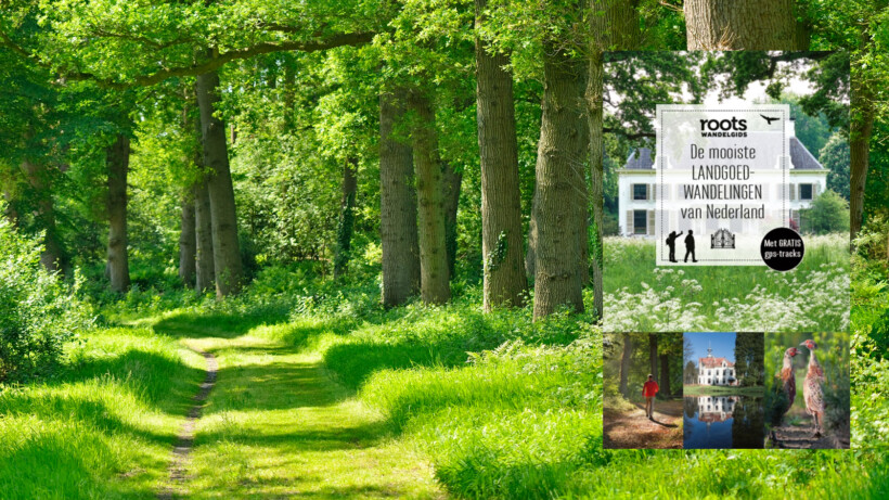 Wandeltip: De mooiste landgoedwandelingen van Nederland