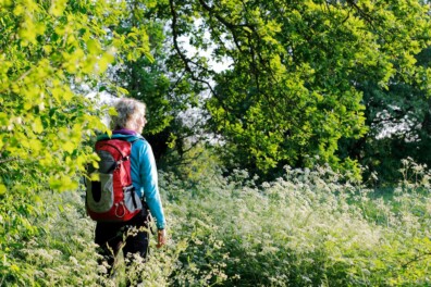 Wandelroute: het Noordsche Veld en de Peestermaden