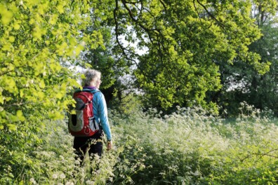 Wandelroute: het Noordsche Veld en de Peestermaden