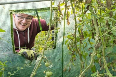 Tomatenverzorging in 8 stappen