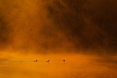 Van parelmoerwolken tot walmend water: 5 bijzondere weerverschijnselen