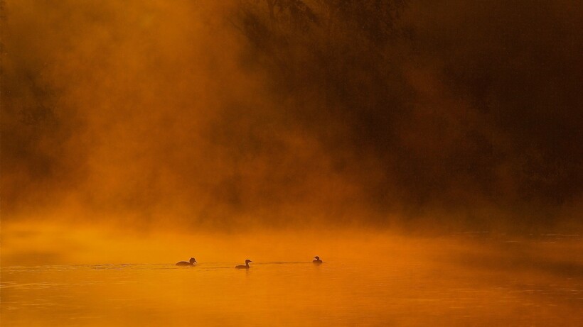 Van parelmoerwolken tot walmend water: 5 bijzondere weerverschijnselen