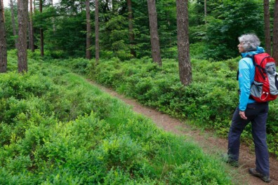 Uitdaging: wandel het langste natuurpad van Nederland