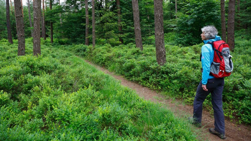 Uitdaging: wandel het langste natuurpad van Nederland