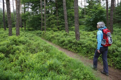 Uitdaging: wandel het langste natuurpad van Nederland