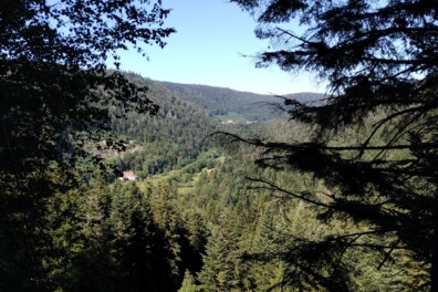De natuur fotograferen met je smartphone