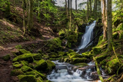 Wandelen & kamperen in het Zwarte Woud (Duitsland)