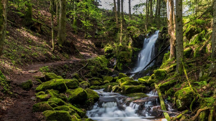 Wandelen & kamperen in het Zwarte Woud (Duitsland)