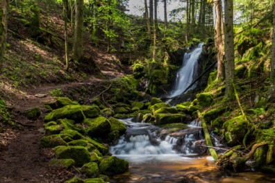 Wandelen & kamperen in het Zwarte Woud (Duitsland)