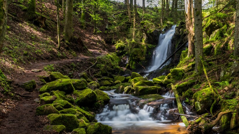 Wandelen & kamperen in het Zwarte Woud (Duitsland)