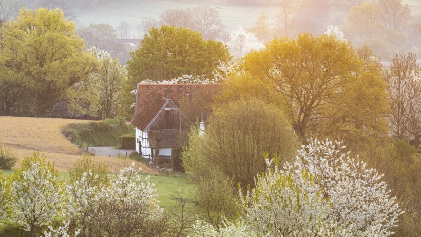 Buitenlandgevoel in Nederland: wandel door het Limburgse Gulpdal