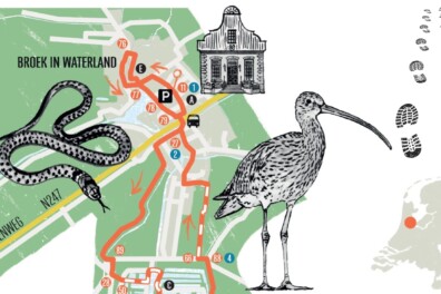 Natuurommetje: wandelen rond Broek in Waterland