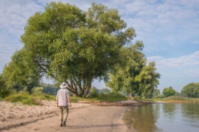 Wandelen bij Woudrichem: door een middeleeuwse rivierenlandschap