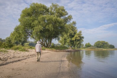 Wandelen bij Woudrichem: door een middeleeuwse rivierenlandschap