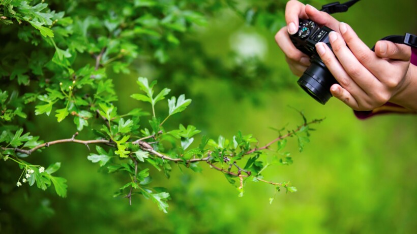 Zo fotografeer je met hart voor de natuur