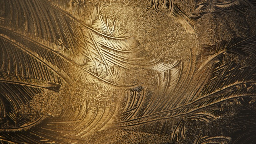 Betoverende ijsbloemen op ramen: zo ontstaan ze