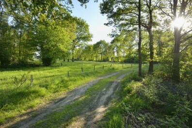 Kasteel Eerde: wandelen langs verborgen schatten